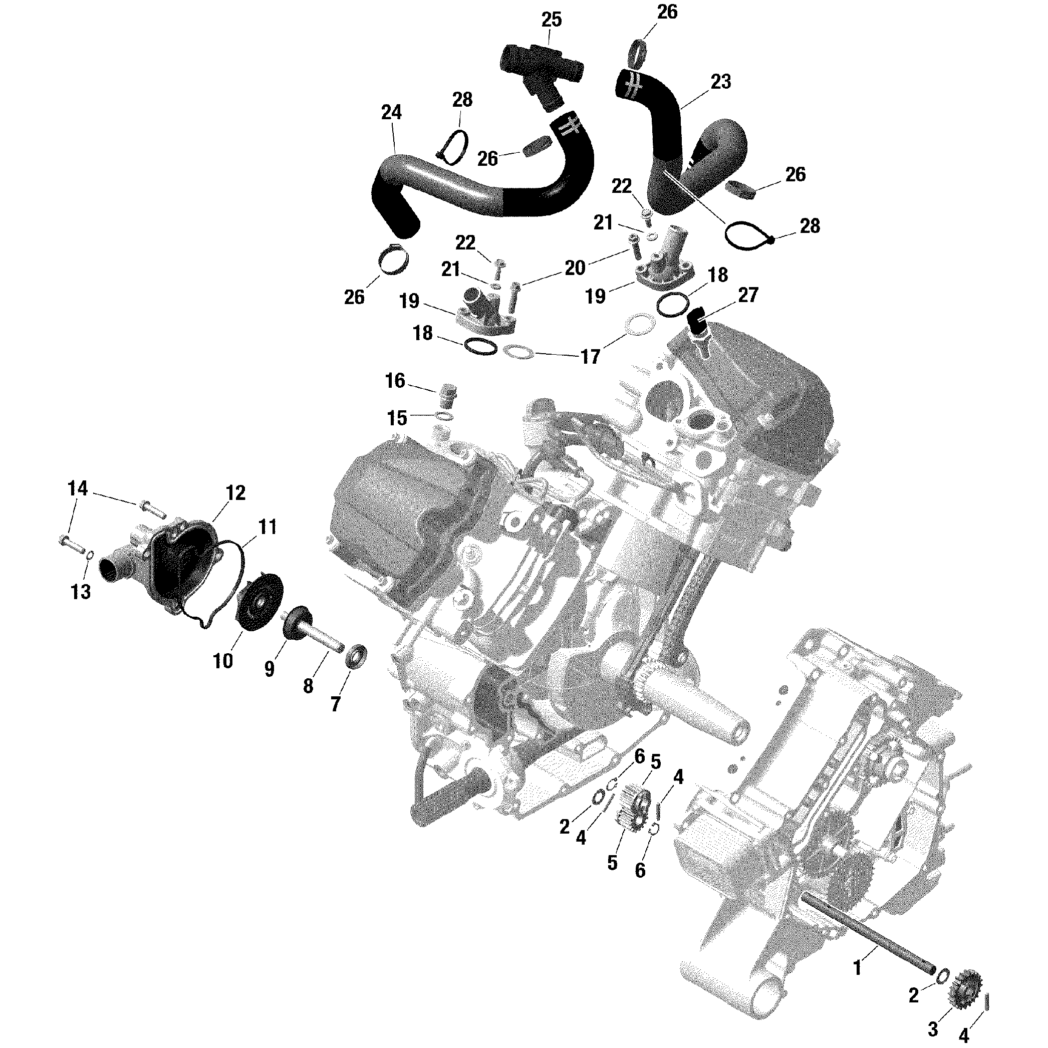 An Image of a Genuine Can-Am Parts Schematic Diagram showing the schematic - ROTAX - ENGINE COOLING