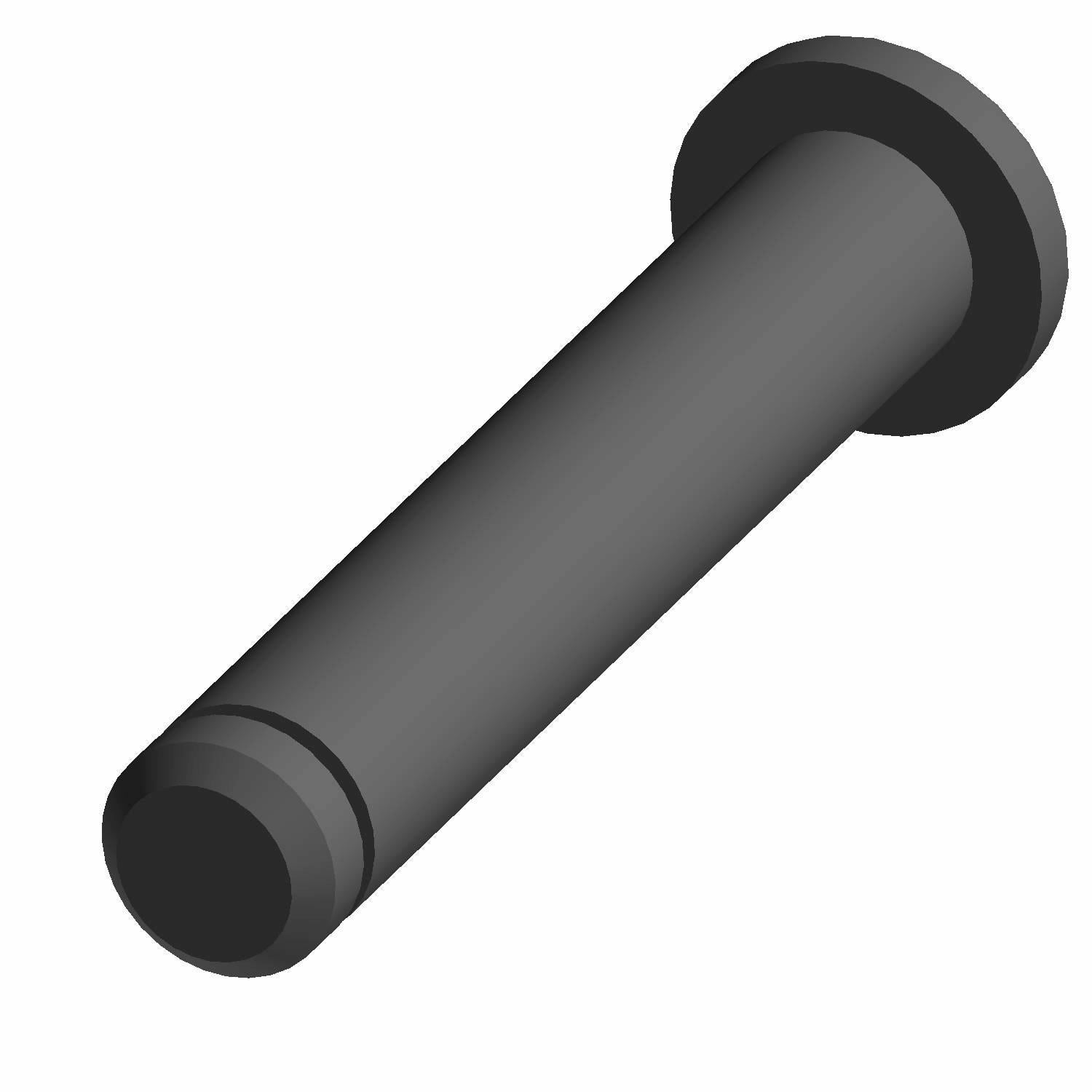 Matte black cylindrical metal door hinge pin with a flat round head and a groove near the tip.