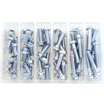 The Bolt Assortment Flange by Bolt is a plastic organizer tray with multiple compartments, each filled with assorted sizes of silver metal hex bolts—ideal for motorcycle repairs and maintenance.