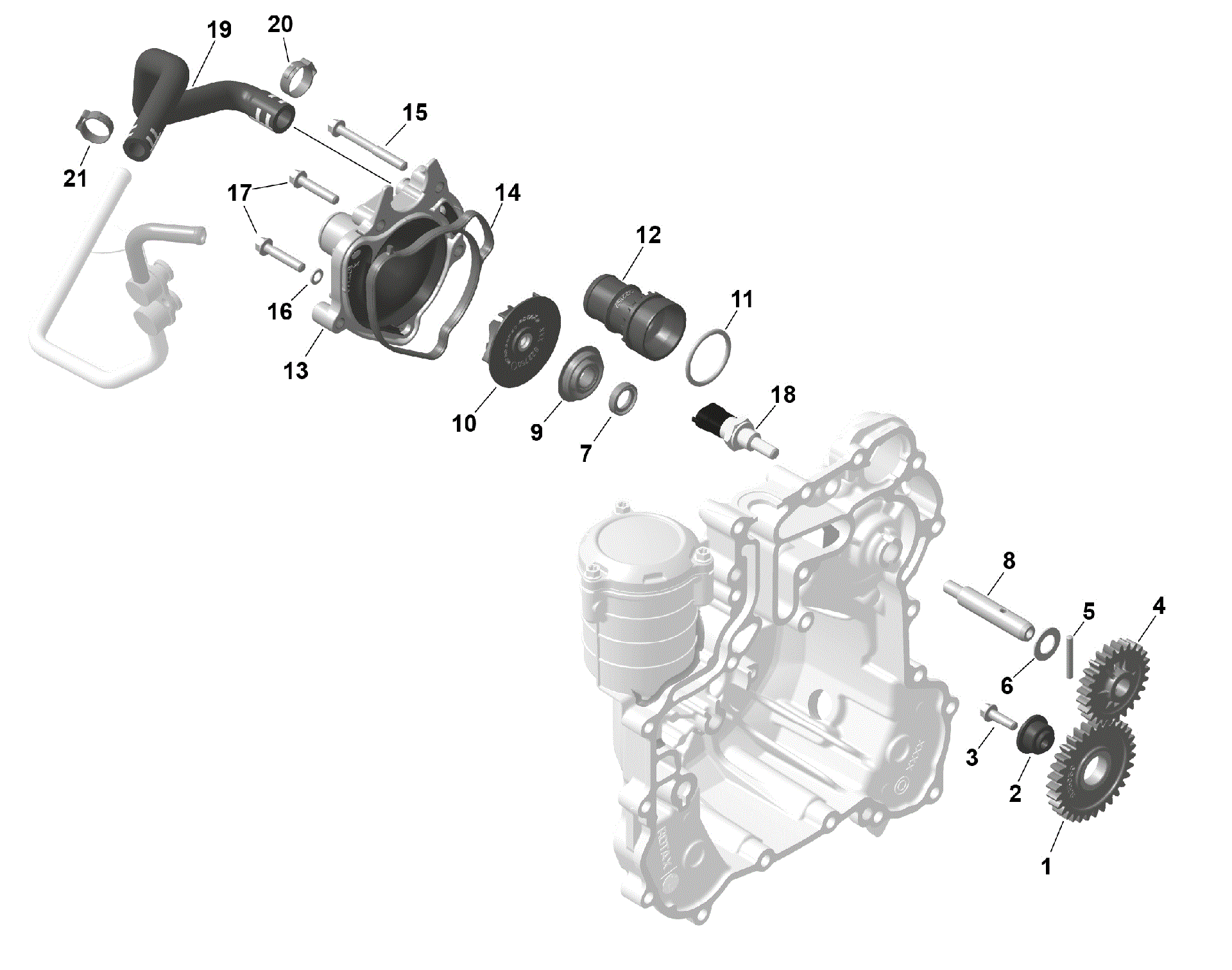 An Image of a Genuine Can-Am Parts Schematic Diagram showing the schematic - ROTAX - ENGINE COOLING
