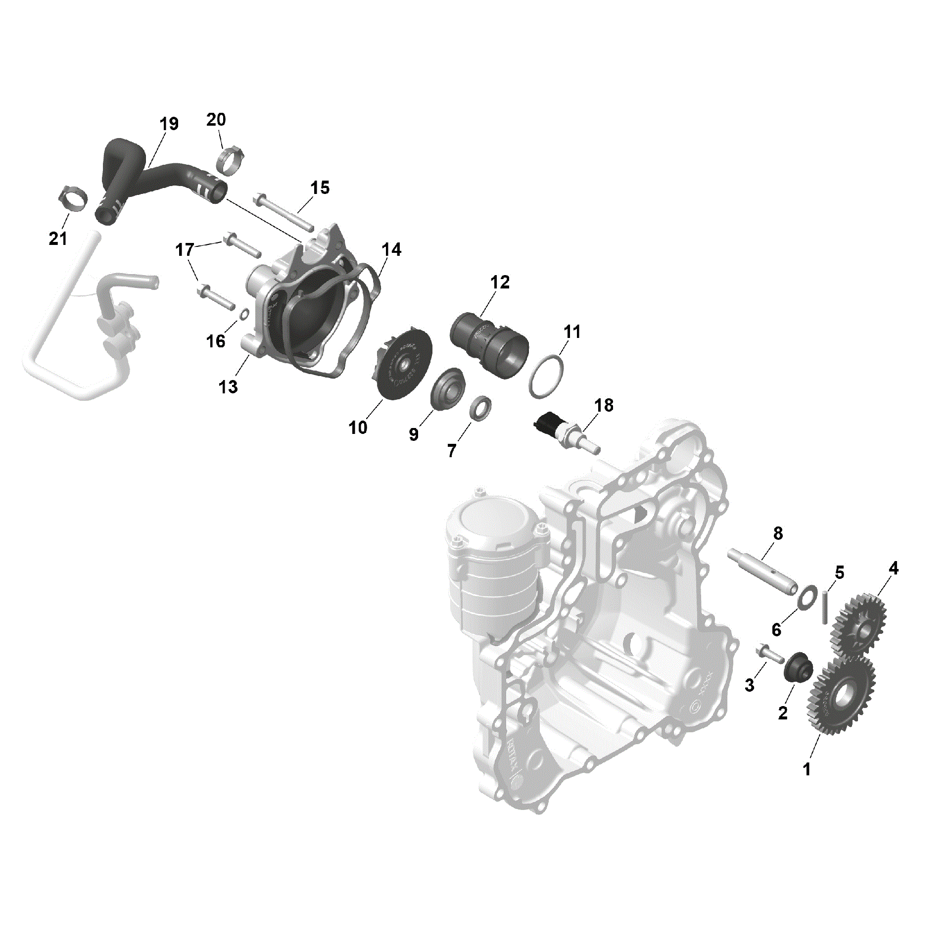 An Image of a Genuine Can-Am Parts Schematic Diagram showing the schematic - ROTAX - ENGINE COOLING