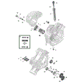 ROTAX - ENGINE LUBRICATION - 2021 CAN AM DEFENDER HD8 BASE / DPS / XT