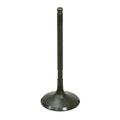 Kawasaki Brute Force Intake Valve by Bronco