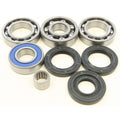 Differential Bearing & Seal Kit by All Balls
