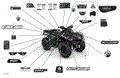 BODY - DECALS - MOSSY OAK EDITION - 2021 CAN AM OUTLANDER 650 EFI / DPS / XT / MOSSY OAK EDITION