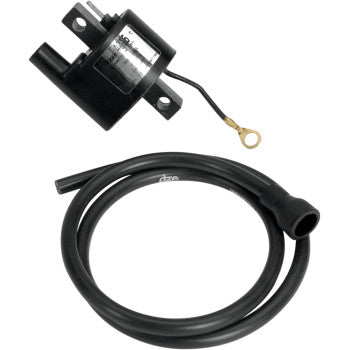 Black rectangular ignition coil with mounting brackets and attached wire, plus a long black rubber spark plug wire with boot