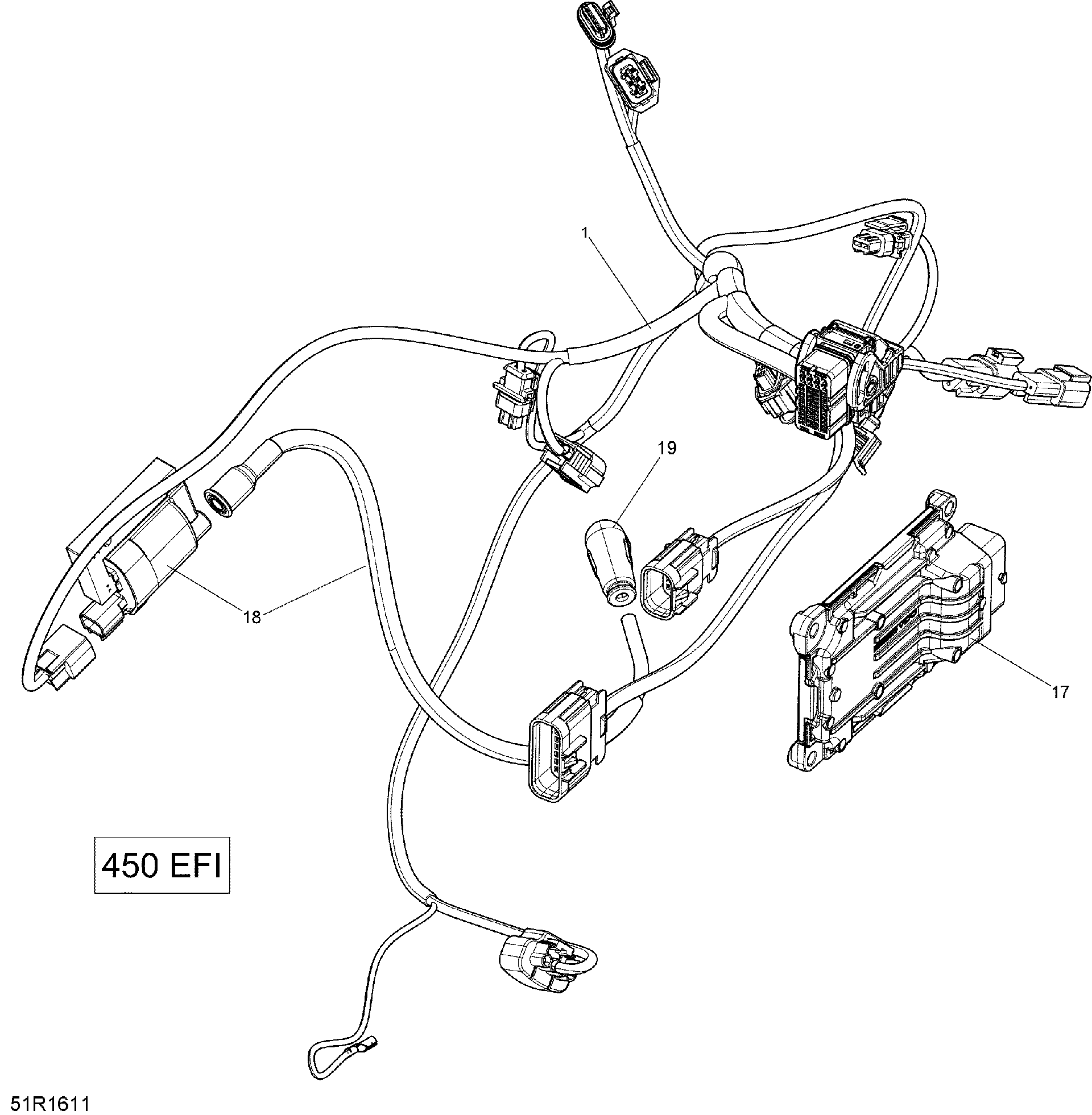 An Image of a Genuine Can-Am Parts Schematic Diagram showing the schematic - ENGINE HARNESS AND ELECTRONIC MODULE - 450 EFI