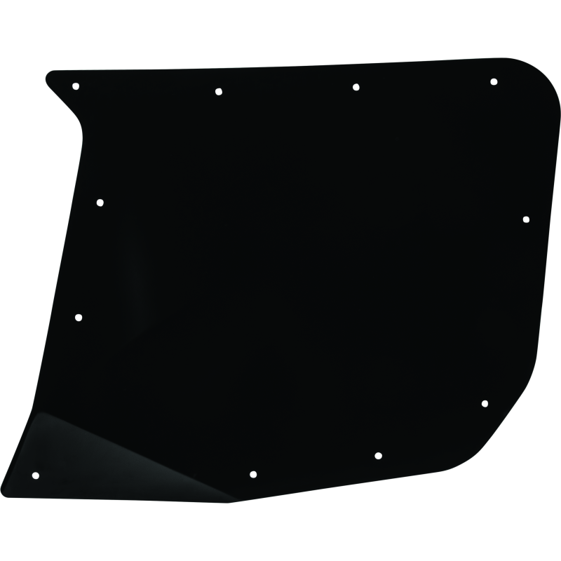 DragonFire Racing Rear Passenger Door Skin For 521065