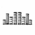 Can-Am Dual Rate Spring Kit 72" by ZBroz