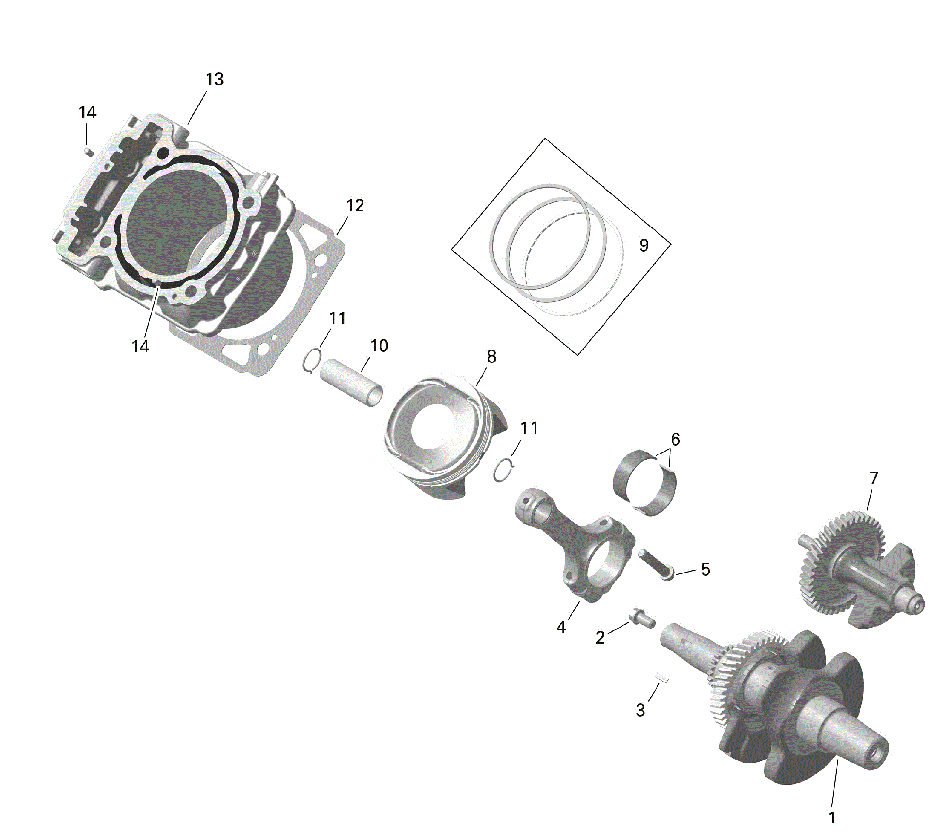 An Image of a Genuine Can-Am Parts Schematic Diagram showing the schematic - ROTAX - CYLINDER