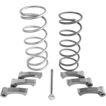 Metal clutch springs and four curved clutch levers with a central bolt, arranged on white background.