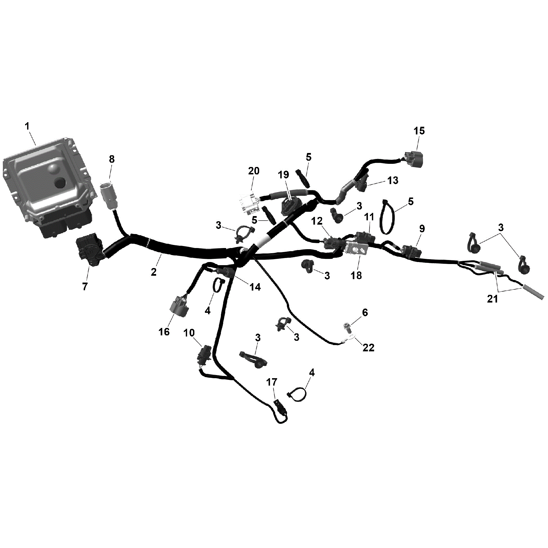 Can-Am OEM Diagram | ROTAX - ENGINE HARNESS & MODULE Witchdoctors