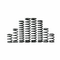 Kawasaki Dual Rate Spring Kit by ZBroz