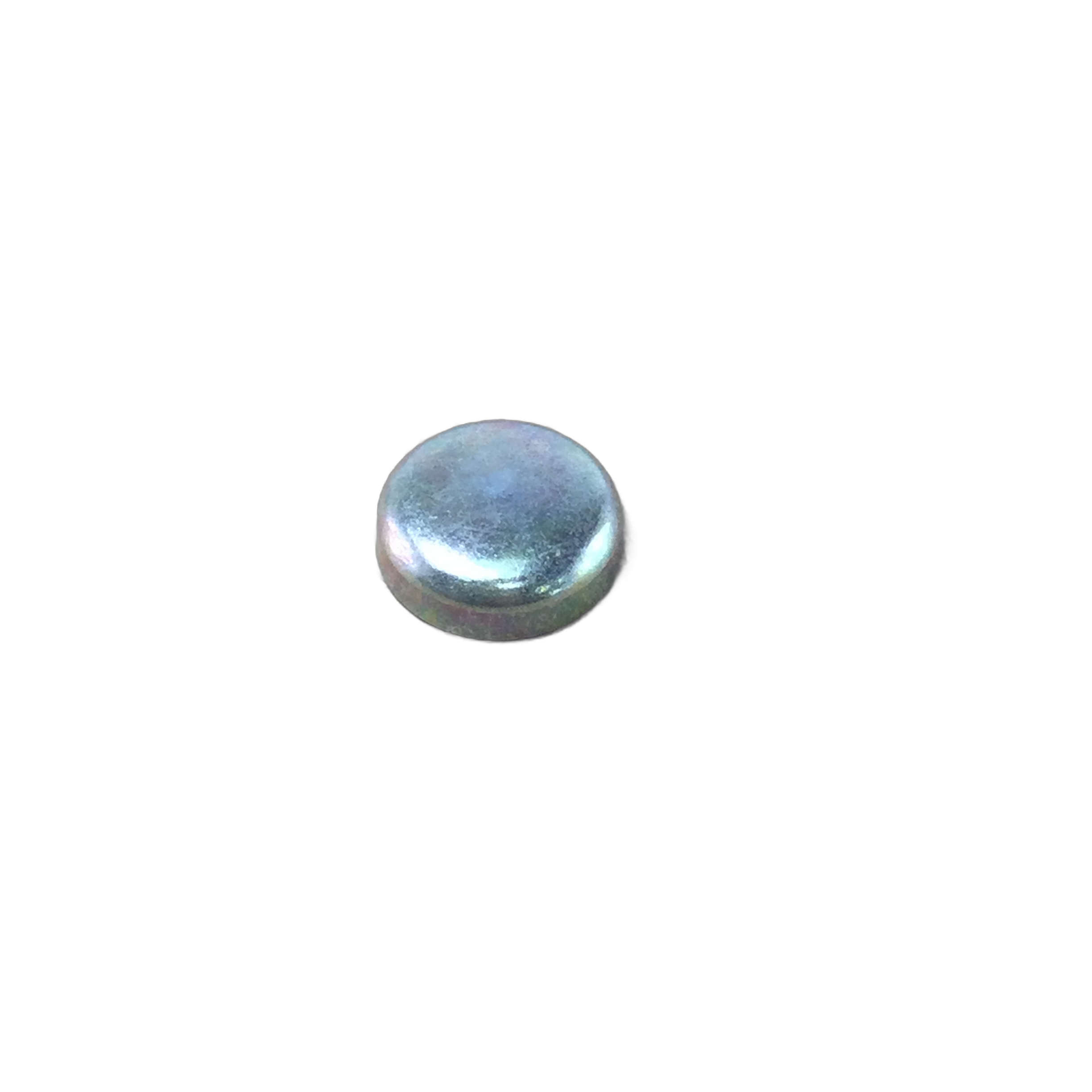 Small round silver metal plug with smooth domed surface and flat base.