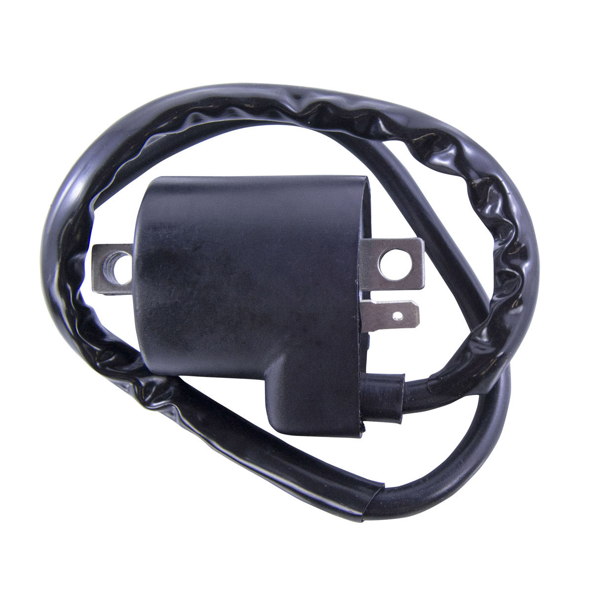 Black rectangular external ignition coil with metal mounting brackets and attached insulated wiring loop.