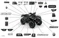 BODY - DECALS - 2022 CAN AM OUTLANDER 570 EFI MOSSY OAK EDITION