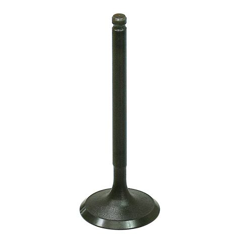 The Polaris RZR 170 Intake Valve by Bronco features a flat, round metal head and a long cylindrical stem, standing upright against a white background. It is designed to boost ATV engine performance.