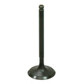 Polaris RZR 170 Intake Valve by Bronco