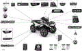 BODY - DECALS - NORTH EDITION - 2021 CAN AM OUTLANDER 850 EFI / DPS / XT / XT P / NORTH EDITION