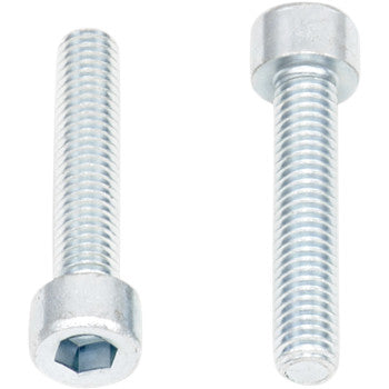 Two Allen Bolts Socket Head M6 x 30 screws are shown: one horizontal to reveal the socket, one upright to display the threads—perfect Allen Head replacement hardware for service departments. Sold in packs of 10 by Bolt.