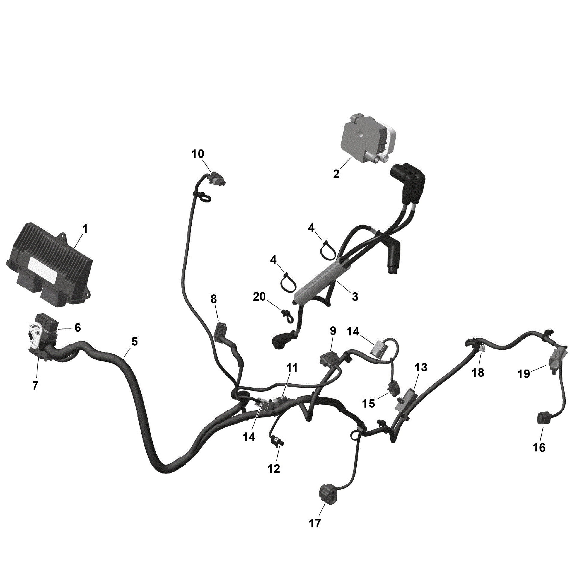 An Image of a Genuine Can-Am Parts Schematic Diagram showing the schematic - ROTAX - ENGINE HARNESS AND ELECTRONIC MODULE