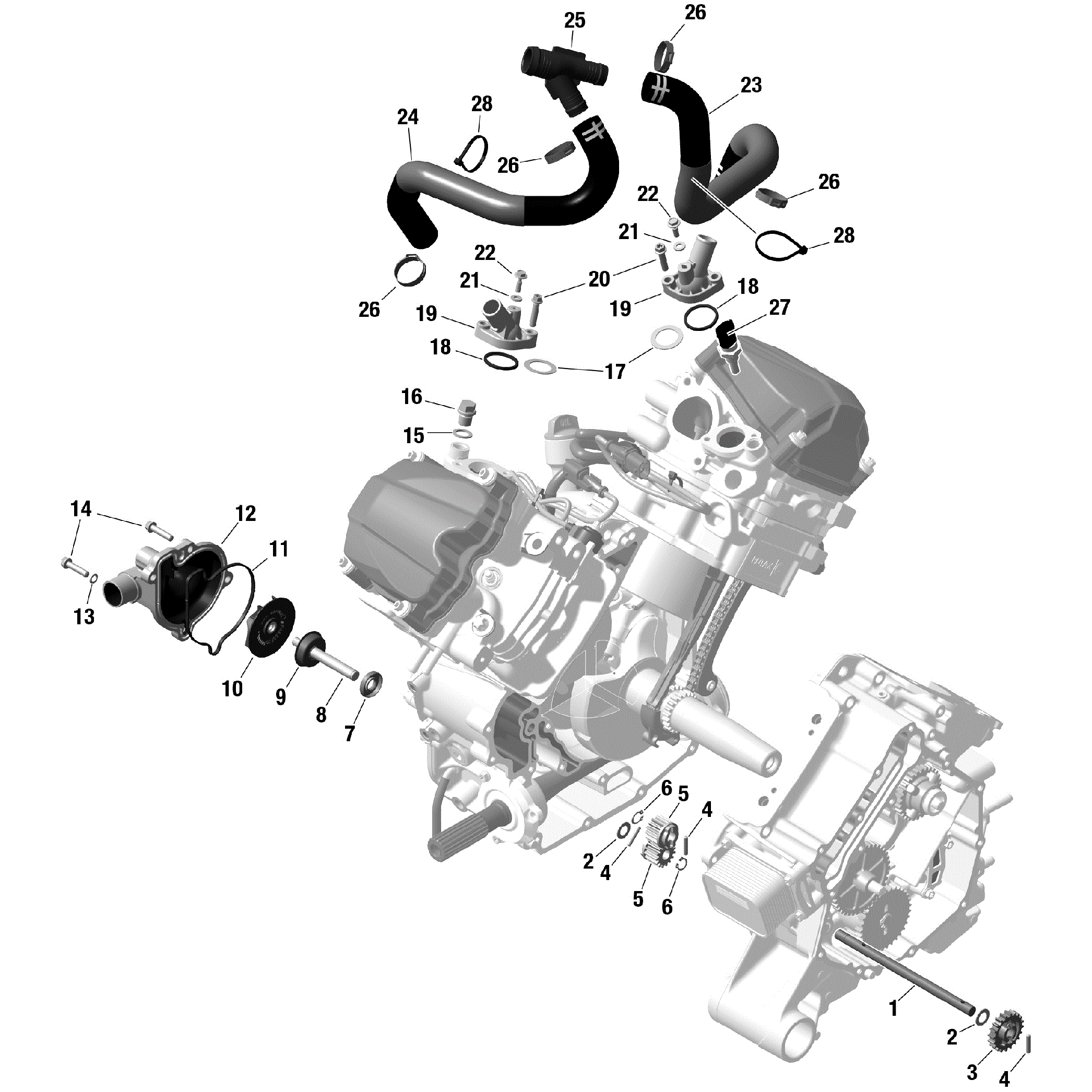 An Image of a Genuine Can-Am Parts Schematic Diagram showing the schematic - ROTAX - ENGINE COOLING
