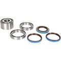 Differential Bearing Seal Kit Rear by Moose Offroad