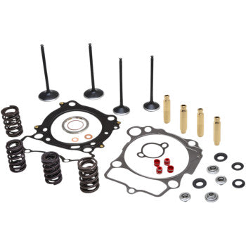 Set of metal cylinder head valves, springs, gaskets, seals, and small engine components arranged on a white background.