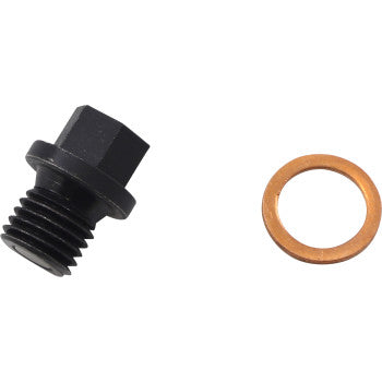 The Engine Drain Plug by Quad Logic, a black E-coated metal hex bolt with threaded end, is displayed next to a flat copper washer on a white background.