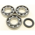 Crankshaft Bearing & Seal Kit by All Balls