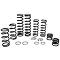Polaris Dual Rate Spring Kit by ZBroz