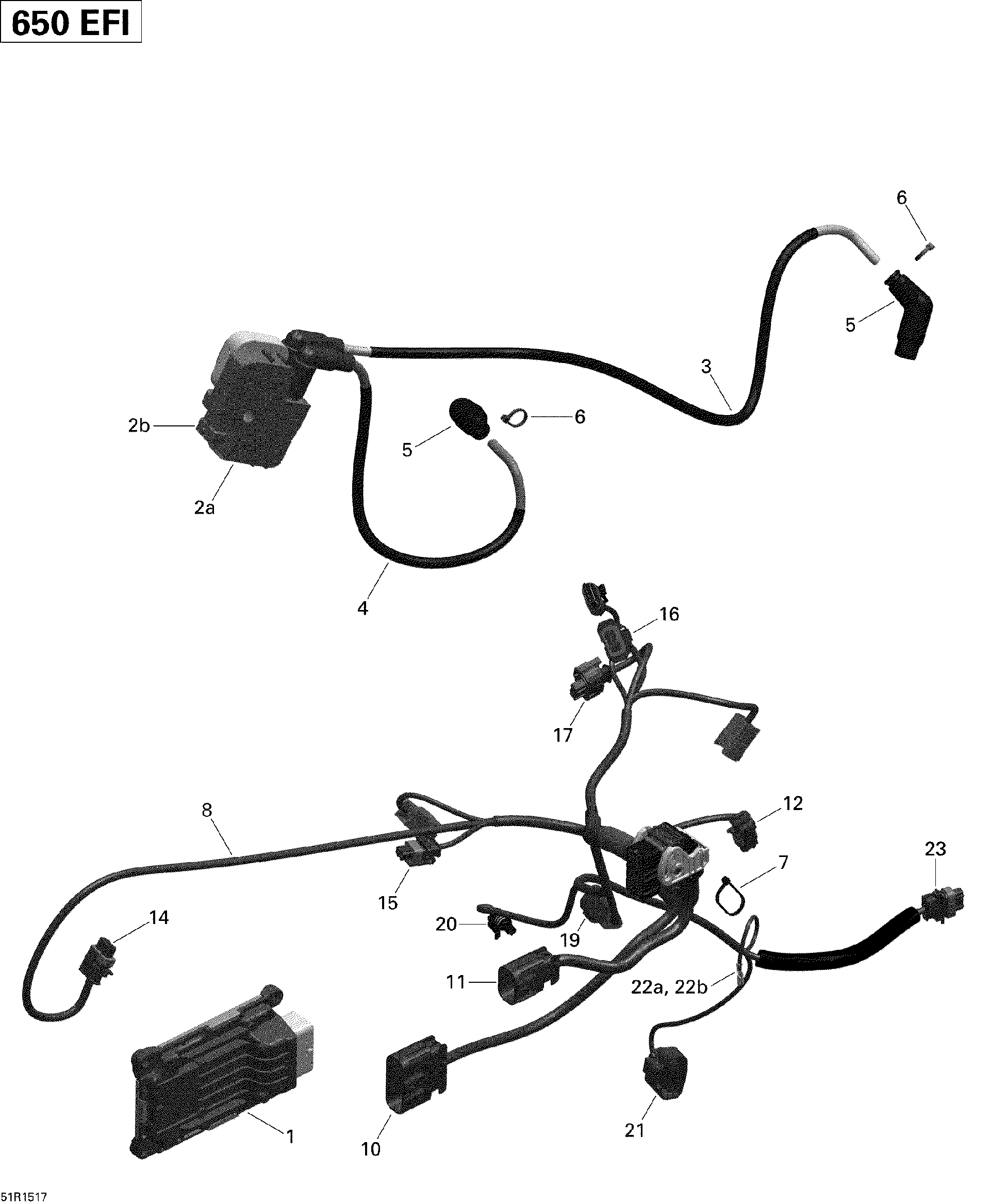 An Image of a Genuine Can-Am Parts Schematic Diagram showing the schematic - ENGINE HARNESS AND ELECTRONIC MODULE _51R1517