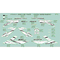 DECAL KITS (USA - 2019 CFMOTO ZFORCE 800 Trail
