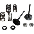 Honda TRX R / ER Valve and Spring Kit 0.440" Lift by Kibblewhite