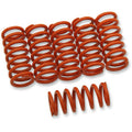 Clutch Spring Kit by Barnett