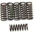Clutch Spring Set by Barnett