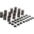Yamaha Vlave Spring Kit 0.445" Lift by Kibblewhite