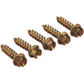 Ice Screws Gold 3/8" 250 by Gold Screws