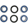 Rear Independent Suspension Repair Kit by Epi