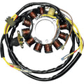 Stator by Rick's Motorsport Electric