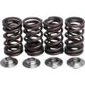 Polaris Valve Spring Kit 0." Lift by Kibblewhite