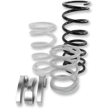 Black and silver metal clutch springs with three curved silver clutch weights arranged beside them.