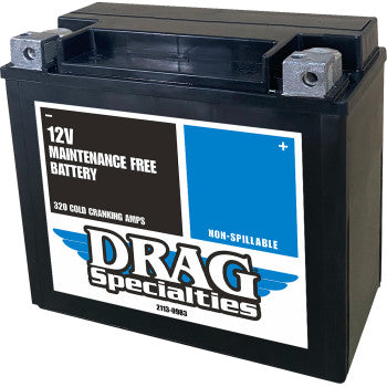 The CTZ20HL Battery by Drag Specialties is a black, 12V, maintenance-free battery with a blue and white label. It offers 320 cold cranking amps, a non-spillable design, and enhanced electrical performance for strong starting power.