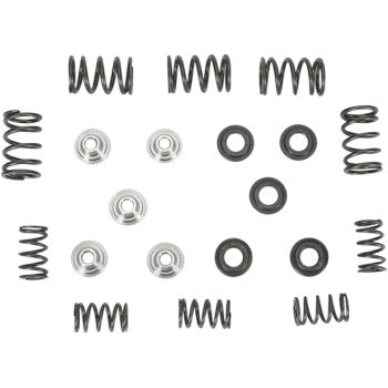 Yamaha Valve Spring Kit 0." Lift by Kibblewhite