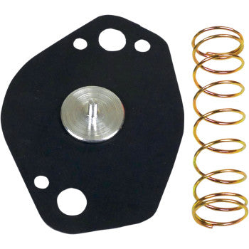 Black irregular-shaped gasket with central silver metal valve and a small gold coil spring side by side.