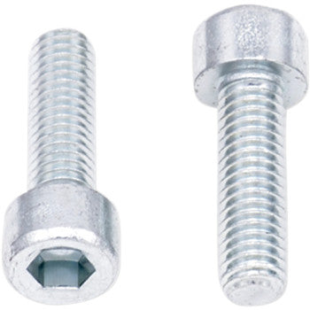 Two Allen Bolts Socket Head M6 x 20 from the 10 Pack by Bolt are shown—one displaying its hex socket head, the other its threaded body—making them perfect replacement hardware for any service department assortment.