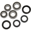 Honda TRX Wheel Bearing Kit Front by Pivot Works