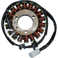 Kawasaki Stator by Rick's Motorsport Electric