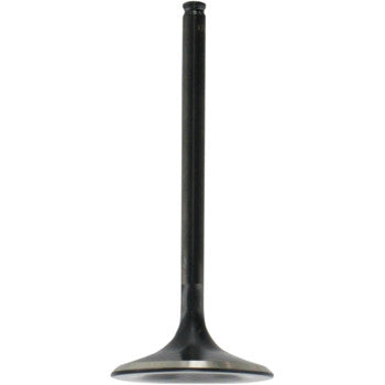 Black metal intake valve with a flat circular head and a long narrow stem.