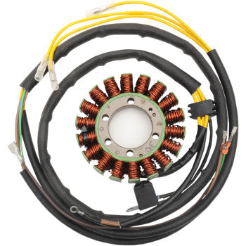Stator by Rick's Motorsport Electric